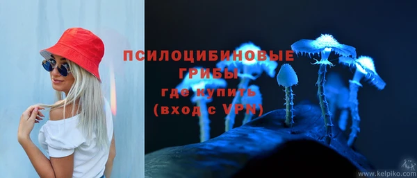 spice Зерноград