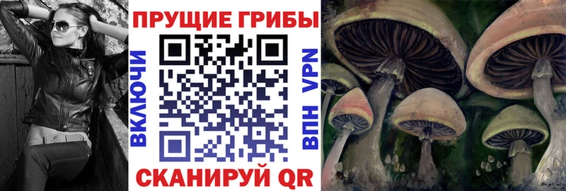 Галлюциногенные грибы Cubensis  Купить где  Магас 